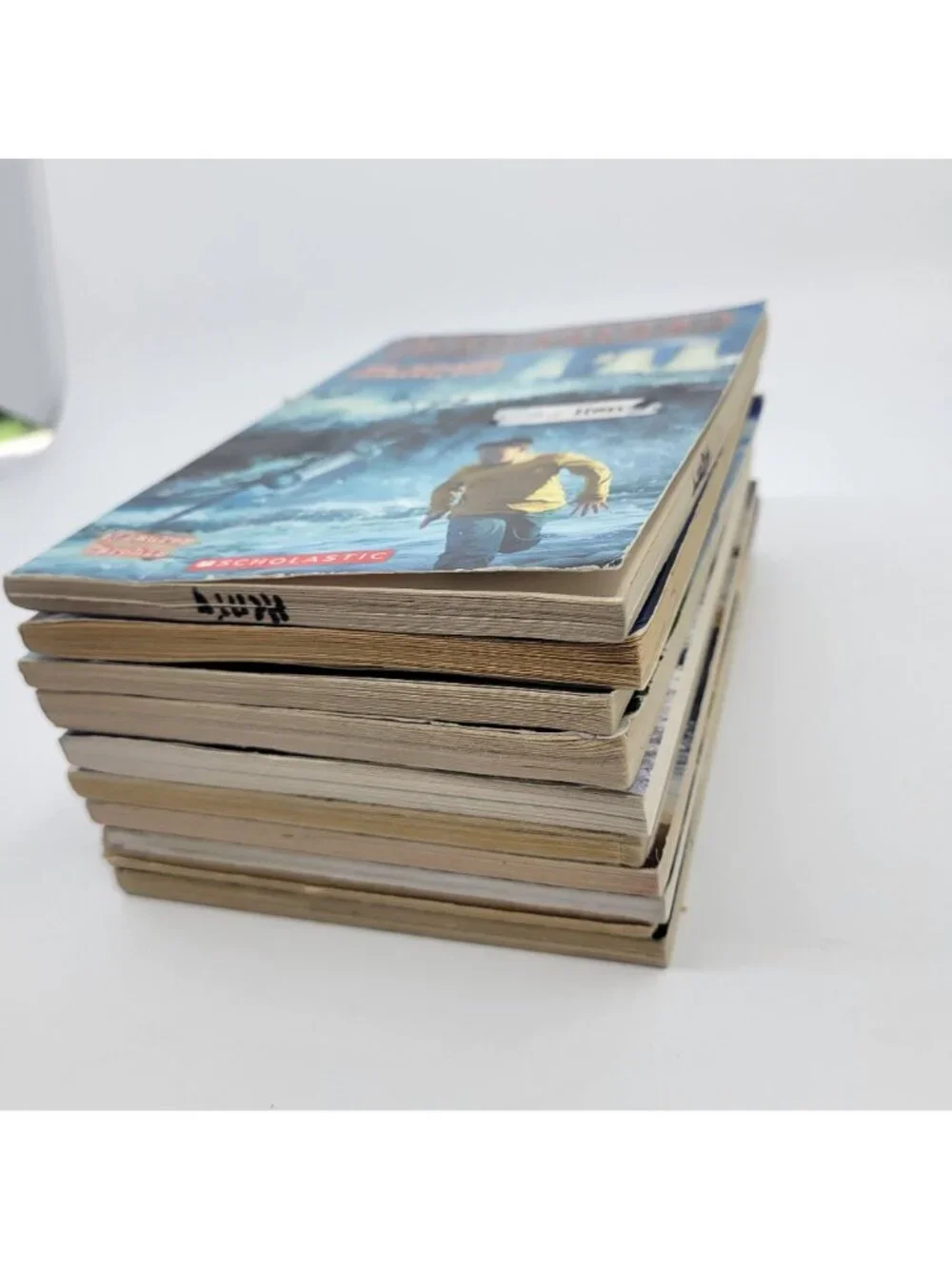 I SURVIVED Lot of 10 Juvenile Historical NonFiction Chapter Books - BK104